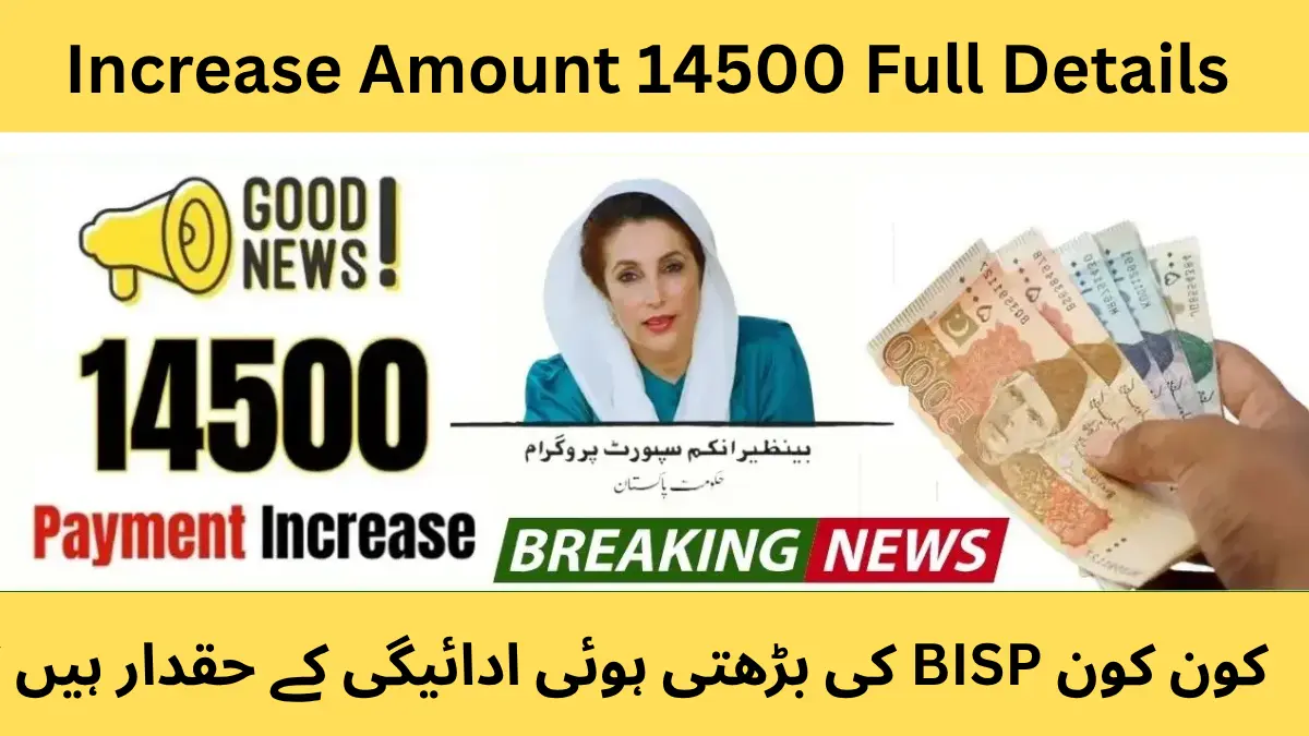 BISP Payments