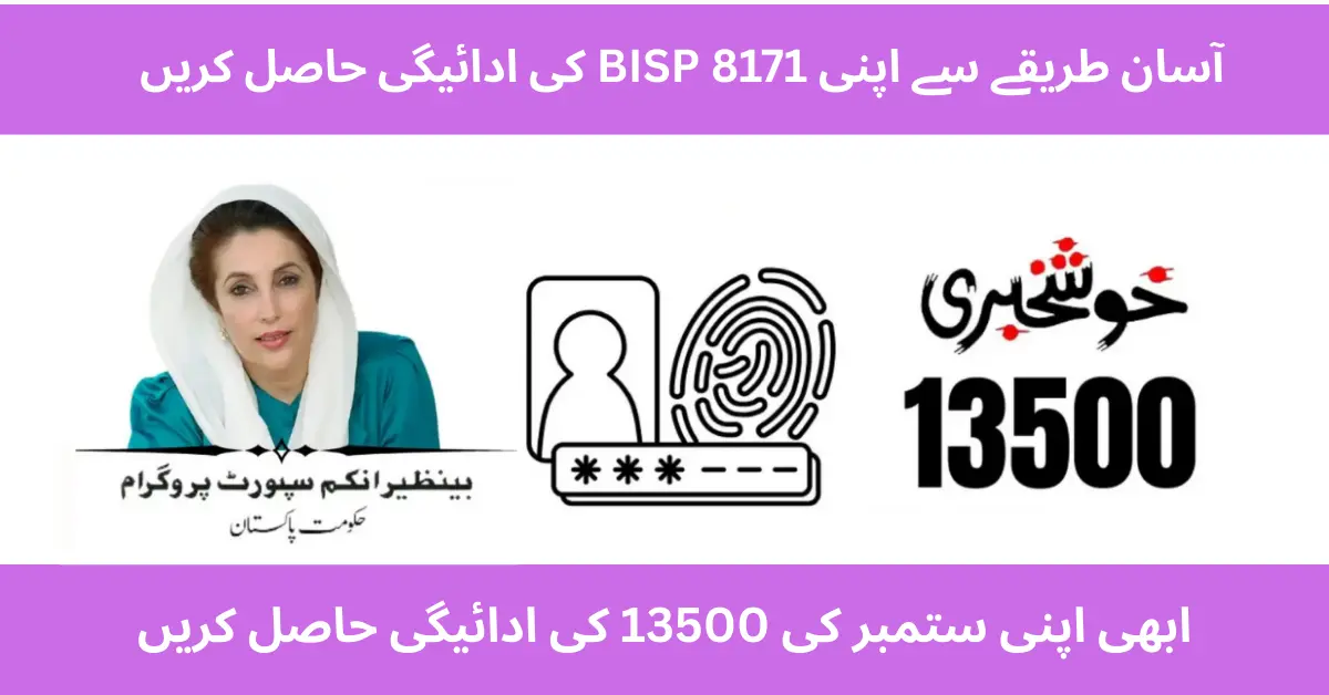 BISP 8171 Payment in 2025