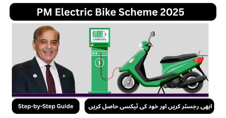 PM Electric Bike