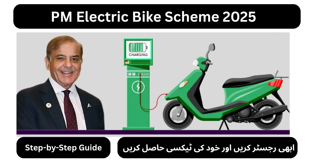 PM Electric Bike