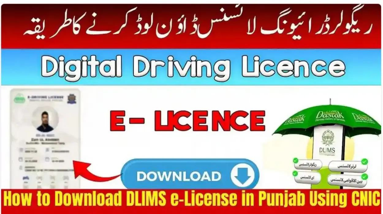 E-License Punjab – How To Download With Your CNIC (Easy Method)